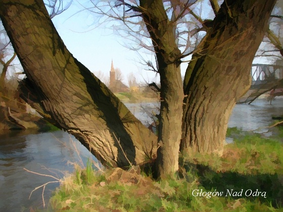 Zdjęcie. Głogów. Tytuł: "Głogów Nad Odrą".