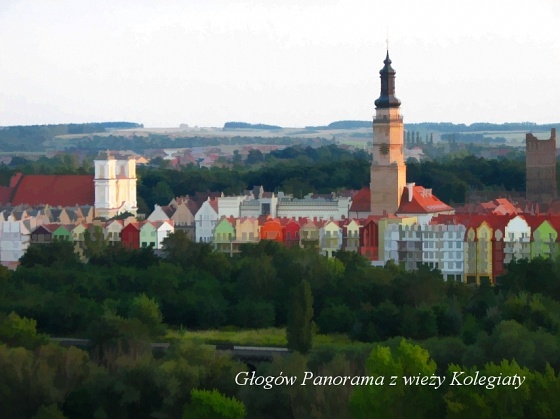 Zdjęcie. Głogów. Tytuł: "Głogów Panorama".