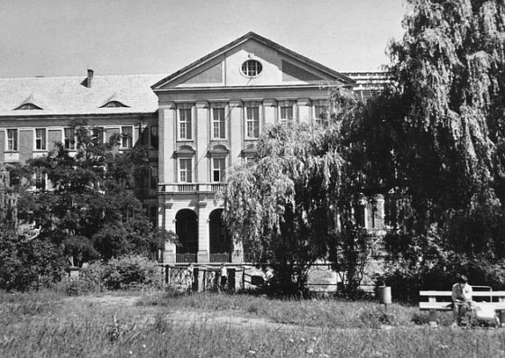 Zdjęcie. Głogów. Tytuł: "Sąd (trochę zarośnięty)".