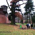 Miniatura zdjęcia "Głogów Fosa Miejska"