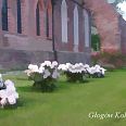 Miniatura zdjęcia "Głogów Kolegiata".