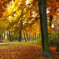 "Głogów Park nad Fosą" - miniatura zdjęcia.
