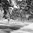 Miniatura zdjęcia "Park Miejski".