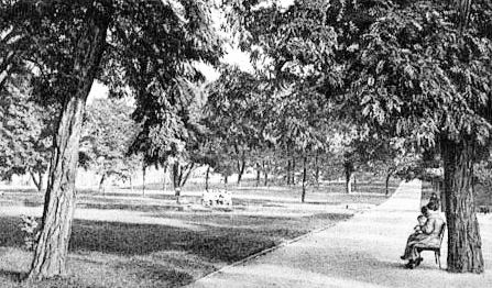 Zdjęcie. Głogów. Tytuł: "Park Miejski".